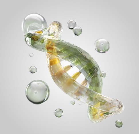 Probiotic capsule
