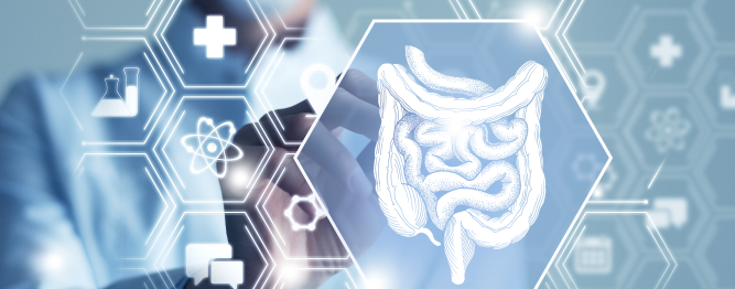 D'doctor gut health innovation